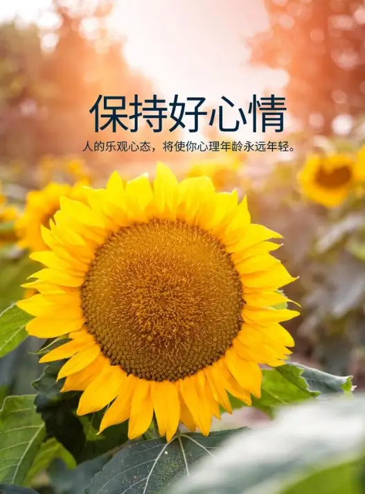 星 手机游戏-手机游戏：疲惫心灵的星光，连接热爱生活的你我
