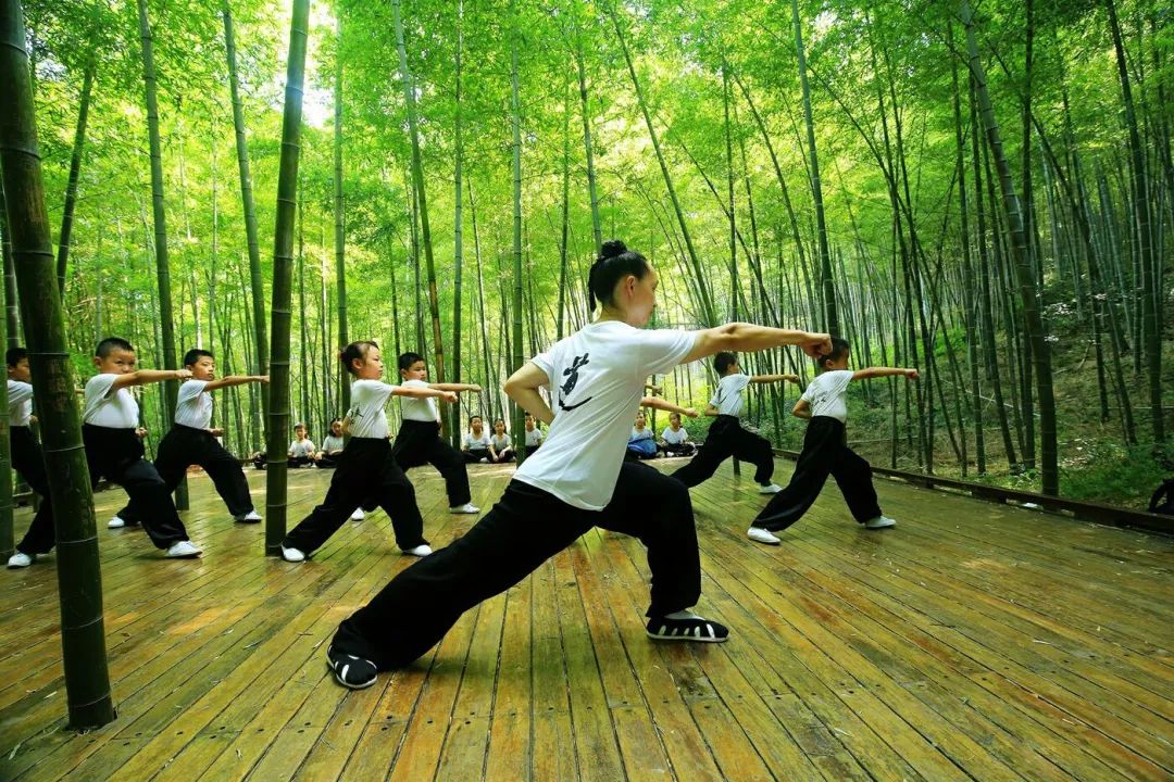 武当与少林游戏手机版下载_少林vs武当游戏安卓版_少林vs武当手机游戏