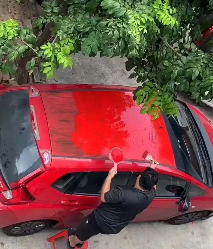顽皮app_顽皮app现在换哪个了_顽皮app怎么下架了呢