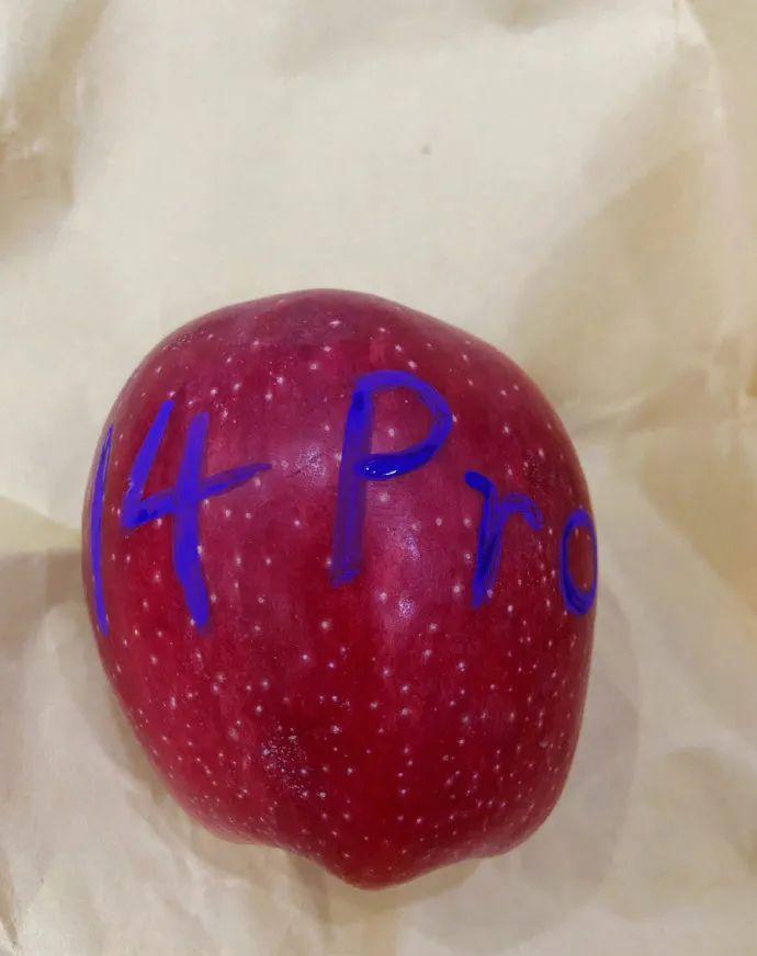 顽皮app_顽皮app现在换哪个了_顽皮app怎么下架了呢